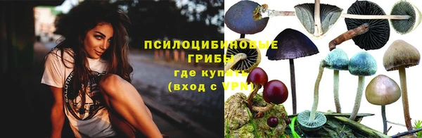ГАЛЛЮЦИНОГЕННЫЕ ГРИБЫ Алзамай