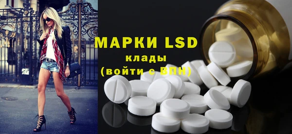 ГАЛЛЮЦИНОГЕННЫЕ ГРИБЫ Алзамай