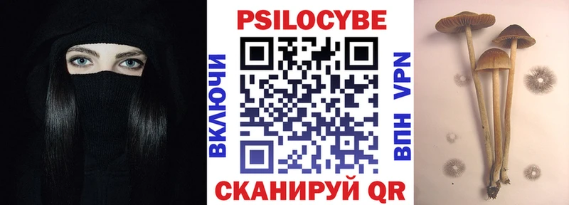 как найти Нижний Ломов Галлюциногенные грибы GOLDEN TEACHER